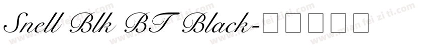 Snell Blk BT Black字体转换